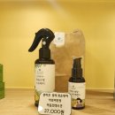 단델리온 견살롱 이미지