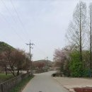 음성공장 25억＞＞＞＞16억으로 초급매 다용도 추천 이미지