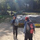 오금1리 이미지