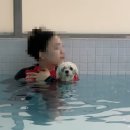 매너독반려견교육센터 이미지