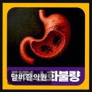 담비한의원 네이버블로그