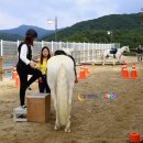 칠갑사니마을 이미지