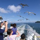 장고도7 이미지