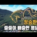 김극뉴 묘역 이미지