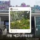 새 한 | [가평 아이와 가볼 만한 곳] 가평 베고니아 새정원 솔직 후기 : 한 번쯤은 괜찮지만 두 번은...?