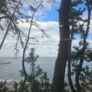 대왕바우 이미지