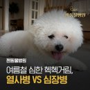 젠동물병원 네이버블로그
