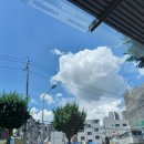 푸롱 디저트 네이버블로그