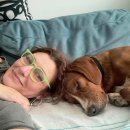 쓰담쓰담 이미지