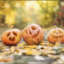 아이룩스 이미지