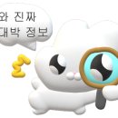 양이주택 게스트하우스 이미지