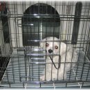 은성자동차공업사 이미지