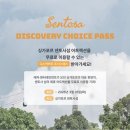 싱가포르 유니버셜 스튜디오 입장권 예약 어트랙션 여행 코스 추천