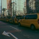 백호타이거즈태권도 이미지