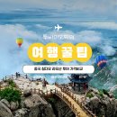 명산기사식당 | 칭다오 라오산 투어 5종 가격 비교 가성비 그룹부터 프라이빗 단독 차량까지 정리