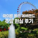 펀빌리지협동조합 | 주말 에버랜드 현실 후기🌹 놀이기구는 못 탔는데 왜 재밌었지? (주차·대기시간·피크닉존)
