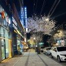 메디슨167 이미지