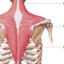 국가대표 체형교정센터 이미지
