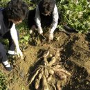 보경농장 이미지