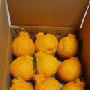 봉이농장 이미지