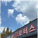 에스제이모터스 이미지