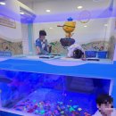 옥토넛키즈풀광명소하점 | 옥토넛키즈풀_광명소하점_내돈내산 이용후기