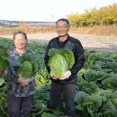 이경민농장 이미지