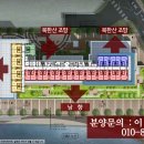 롯데몰 앞 횡단보도2 이미지