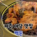 5414 | 파주 고기 맛집 빽돈 파주 야당 돼지갈비 세트 후기