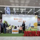 아이조아 이미지