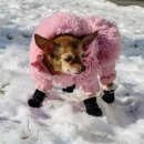 우리앤동물병원 이미지