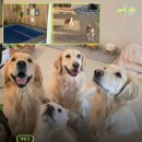 Mong9Mong9Haus 이미지