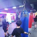 강성복싱체육관 이미지