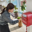 화순약국 이미지