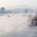 하얀물안개 이미지