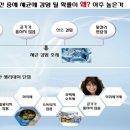 아이스마일