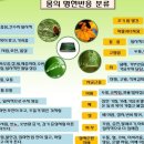 적송원
