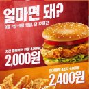 파파이스 이미지