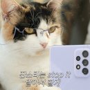 곰배국수 | 폭염에도 취미생활! 연경언니 팬미팅, 소란 여름콘서트 그리고 독서