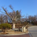 숫골농장 | 염치저수지 방수물 (입암산-영인산-무명산)