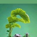 배아현 - 트로트 모음집 이미지