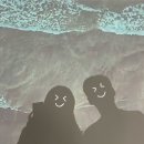 온그라운드짐 | 그라운드시소 센트럴 전시회 연장 짐보관 굿즈샵 후기 요시고 사진전2