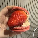 설롱디저트 10구랜덤 마카롱 솔직후기 🍰