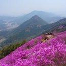 4월 11일 산행지 추천해주세요. 이미지