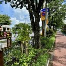 곽금초등학교 이미지