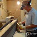 사내면사무소 이미지