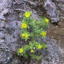 기린초등학교 이미지