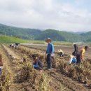 쌍백면사무소 이미지