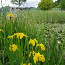 곤명생태학습장 이미지