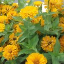 도연농원 이미지